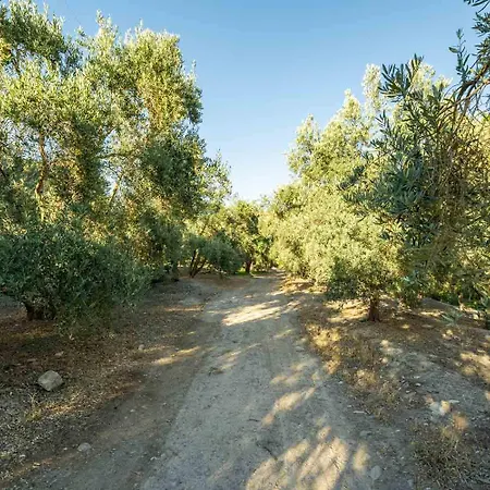 Natura Un Paraiso En La Alpujarra Almeriense * Alcolea (Almeria)